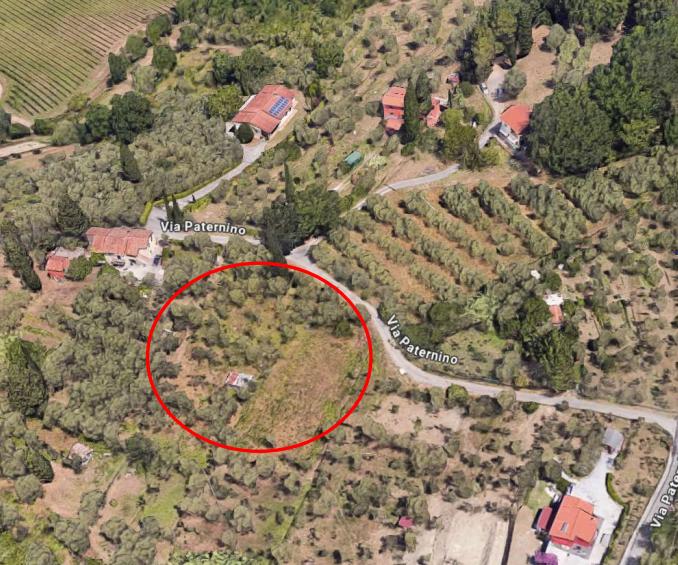 immagine annuncio 1 di 2