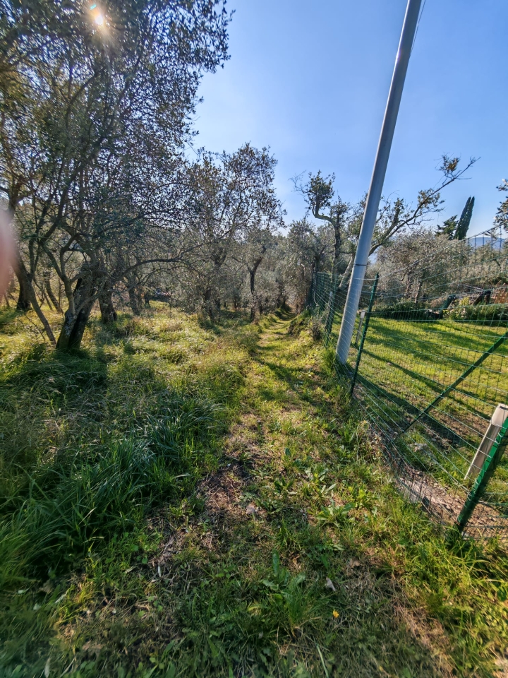 immagine annuncio 13 di 15