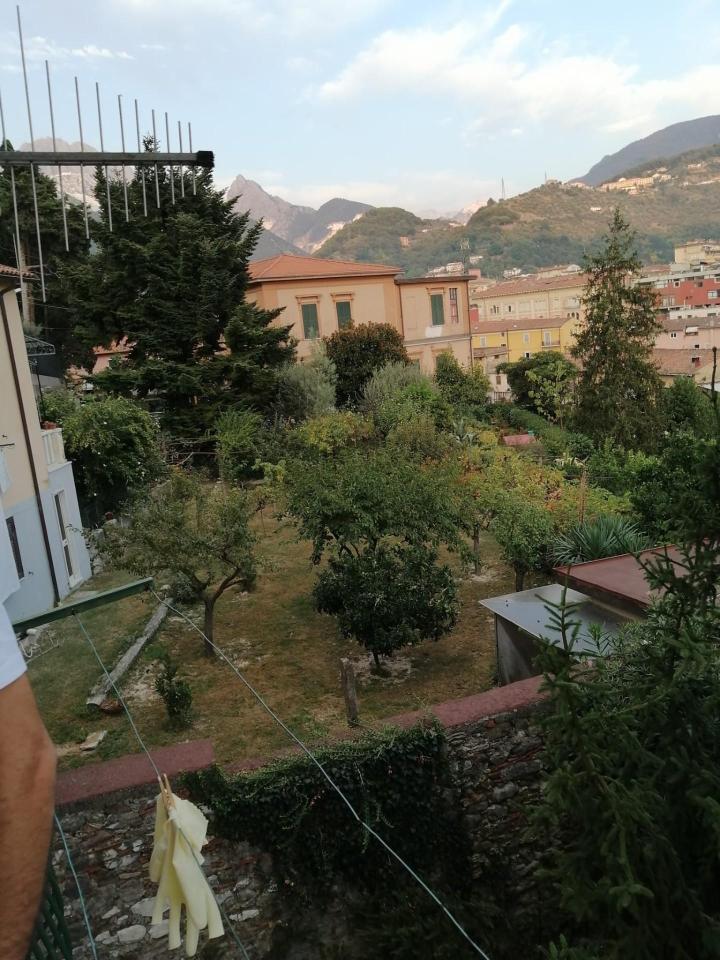 immagine annuncio 9 di 13