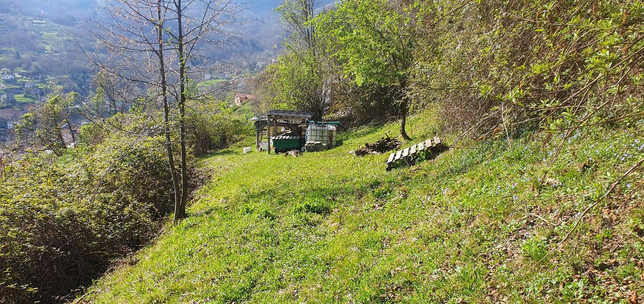 immagine annuncio 1 di 4