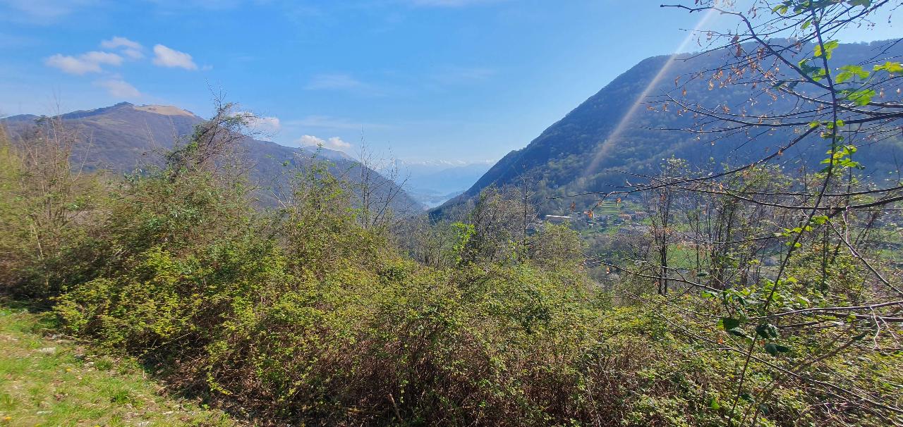 immagine annuncio 3 di 4
