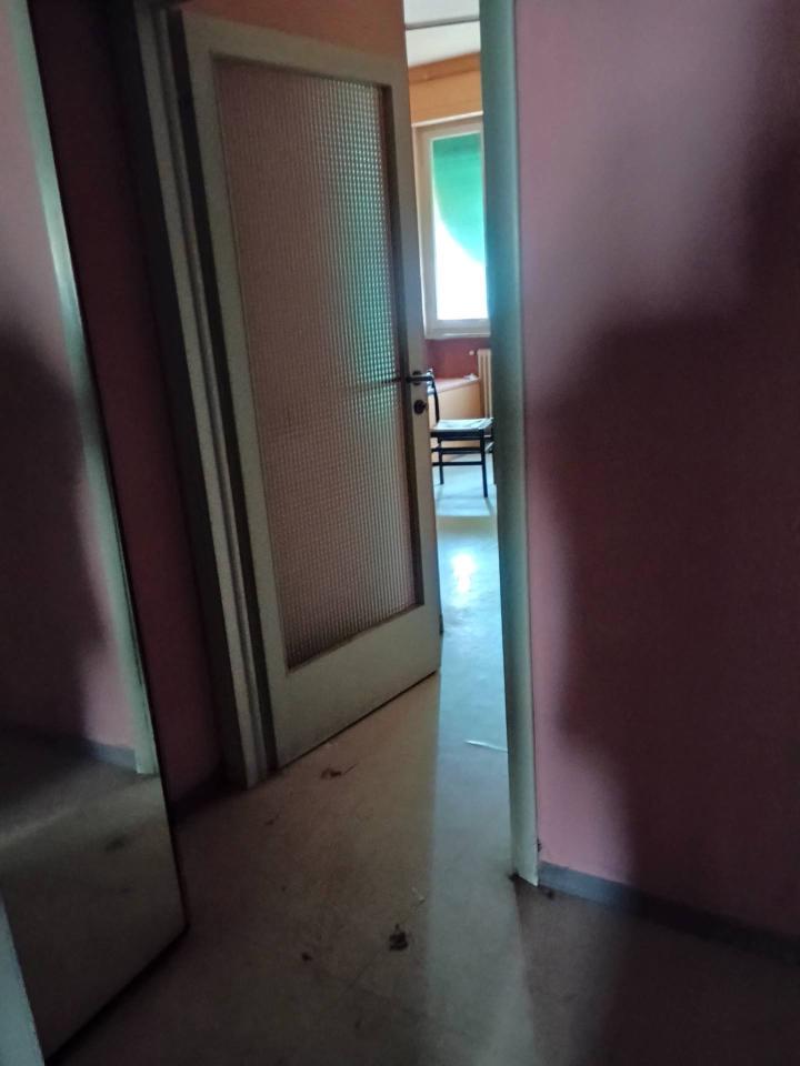 immagine annuncio 4 di 12