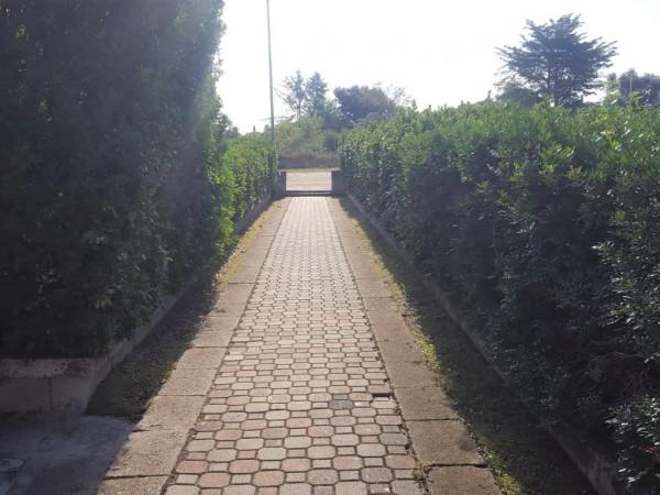 Impianto sportivo in , Sassari, {3} - Foto 1