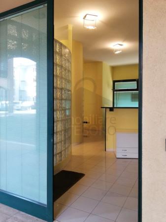 Tempo libero in Piazza Oreste Cavallari 9, Rimini, {3} - Foto 2