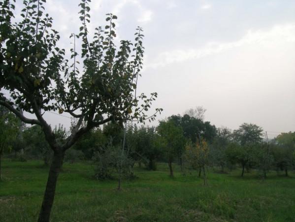 immagine annuncio 6 di 8