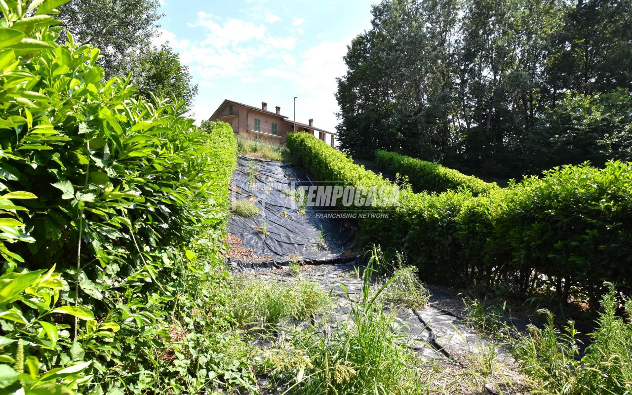 immagine annuncio 8 di 11