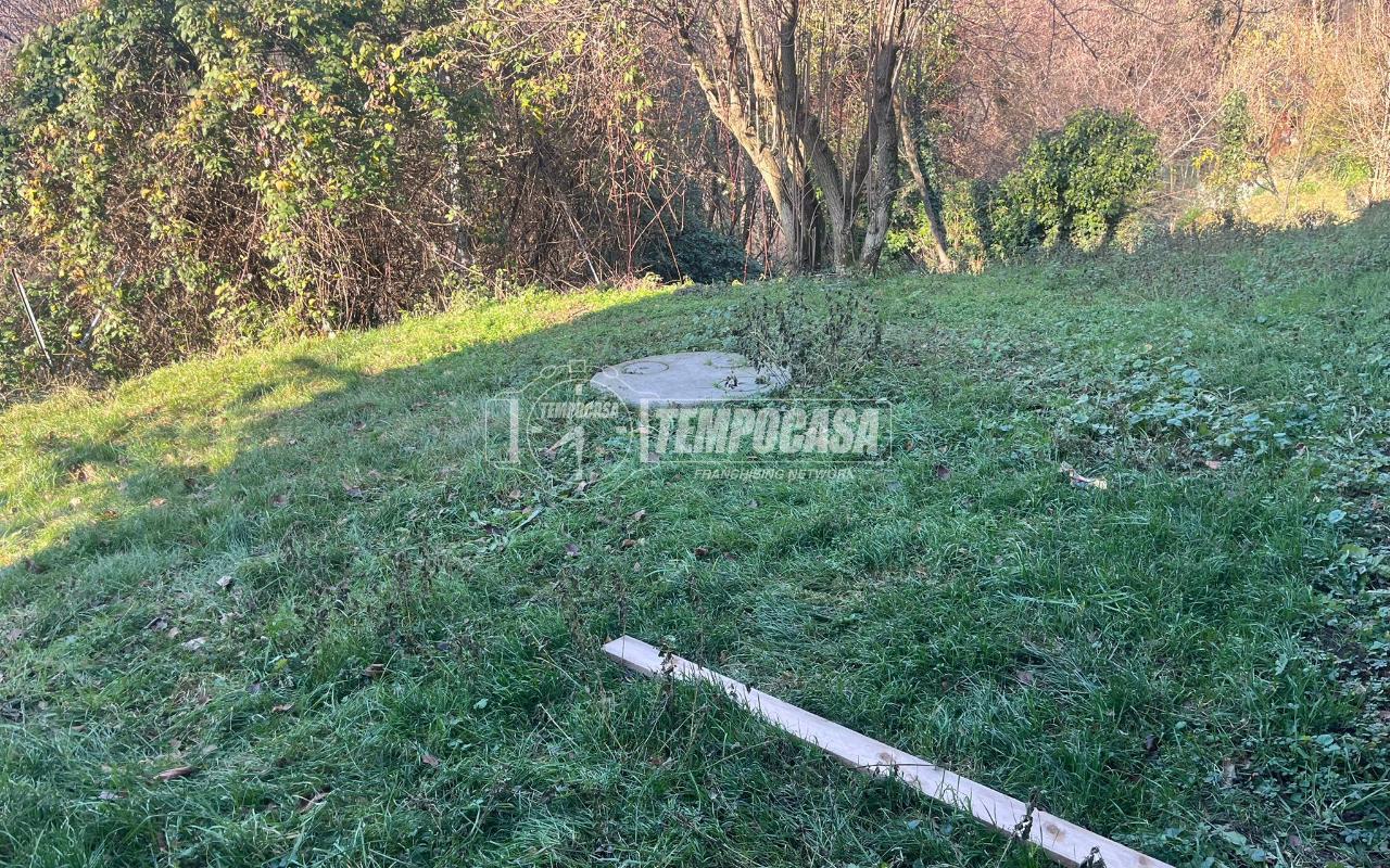 immagine annuncio 3 di 12