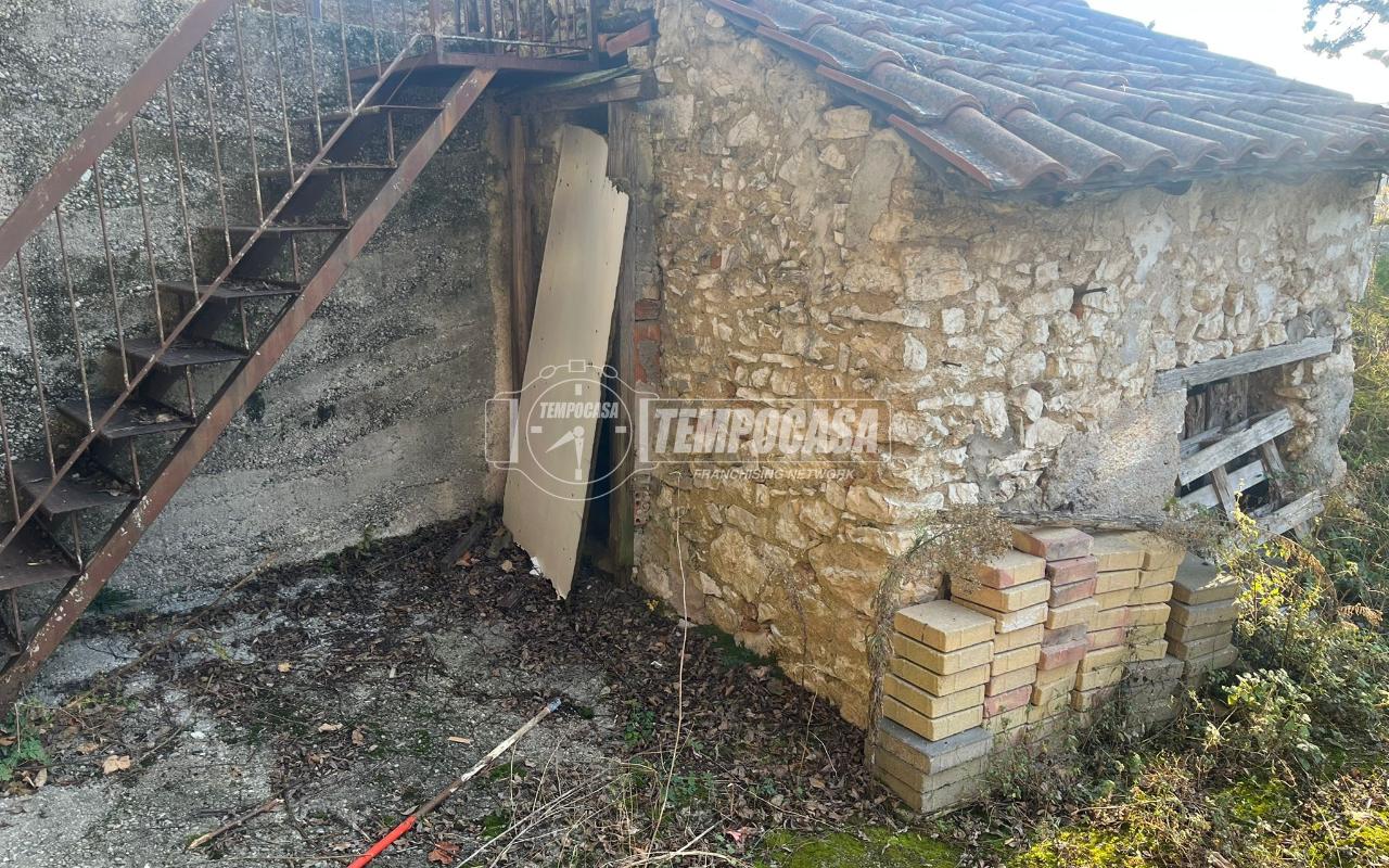 immagine annuncio 9 di 12