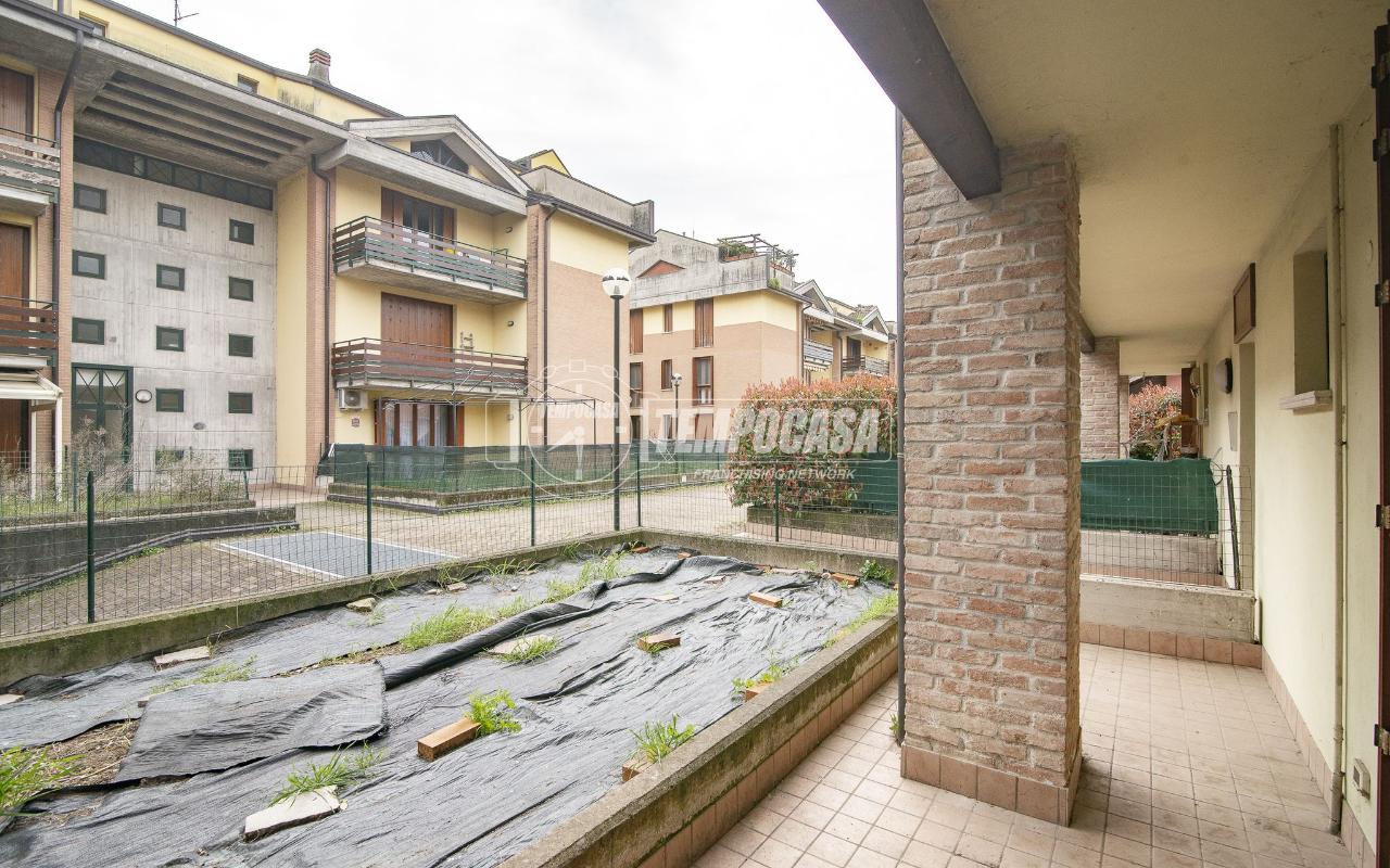 immagine annuncio 10 di 15
