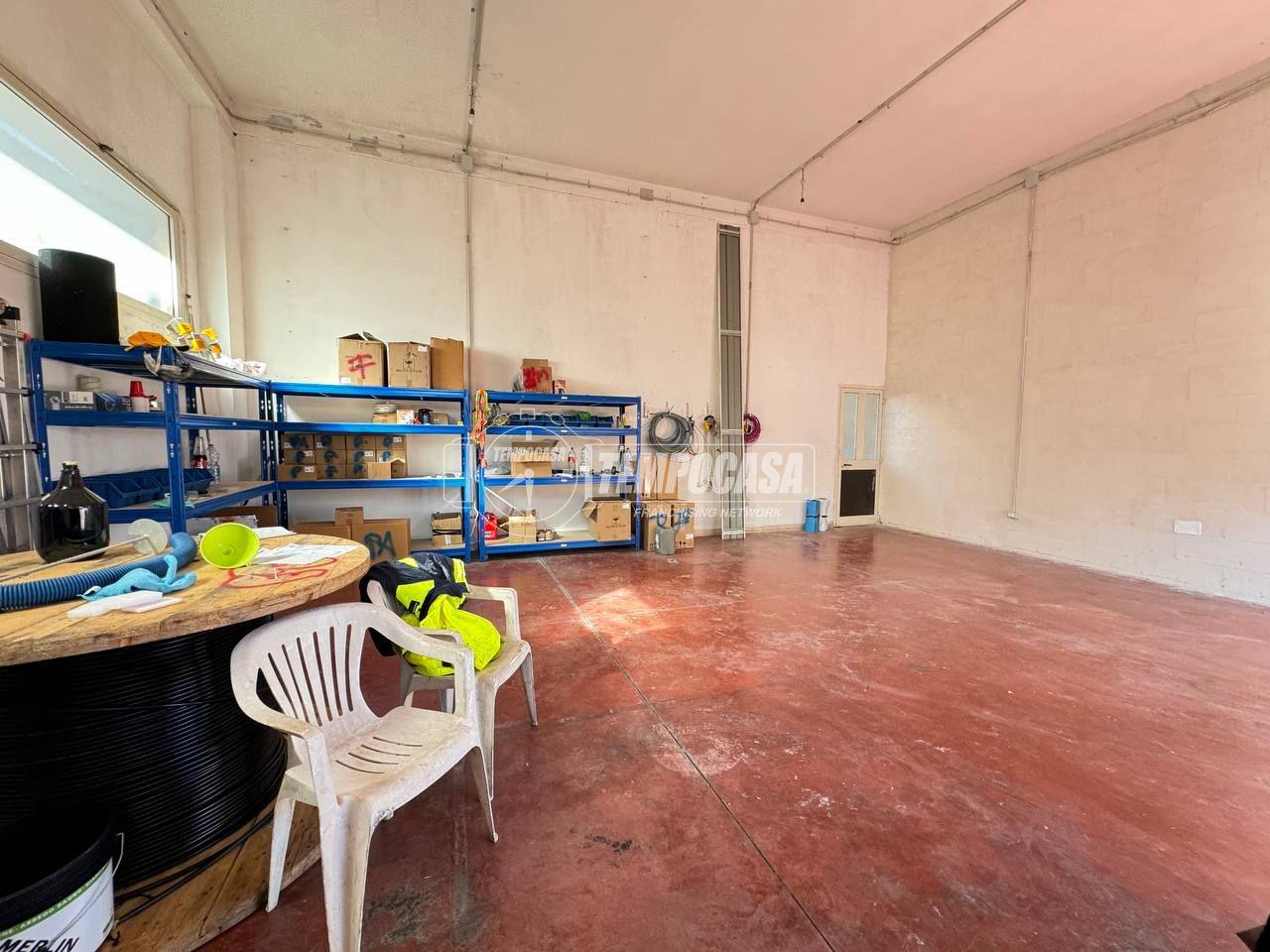 immagine annuncio 9 di 15