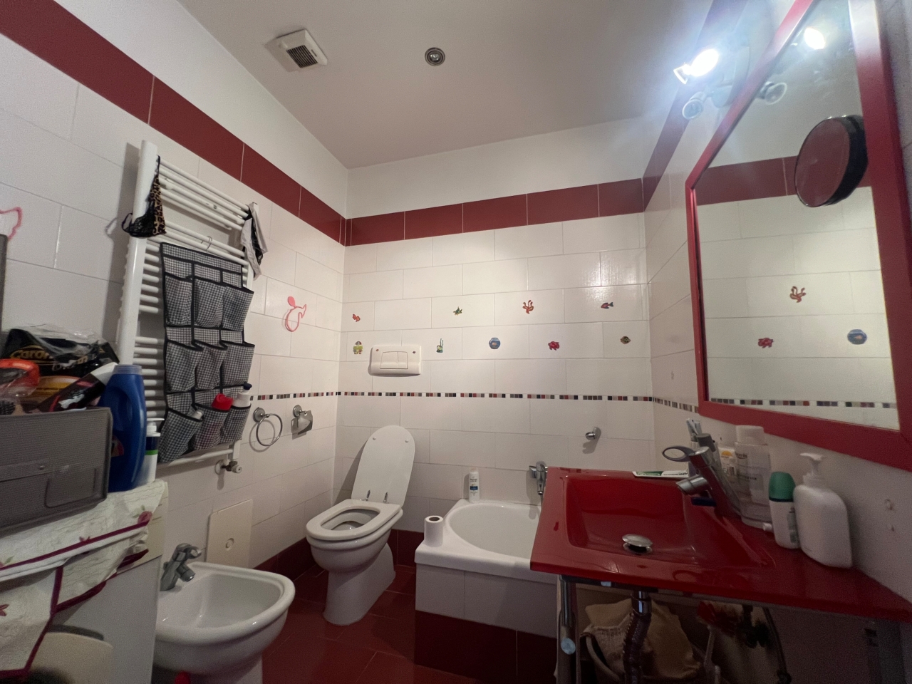 immagine annuncio 7 di 15