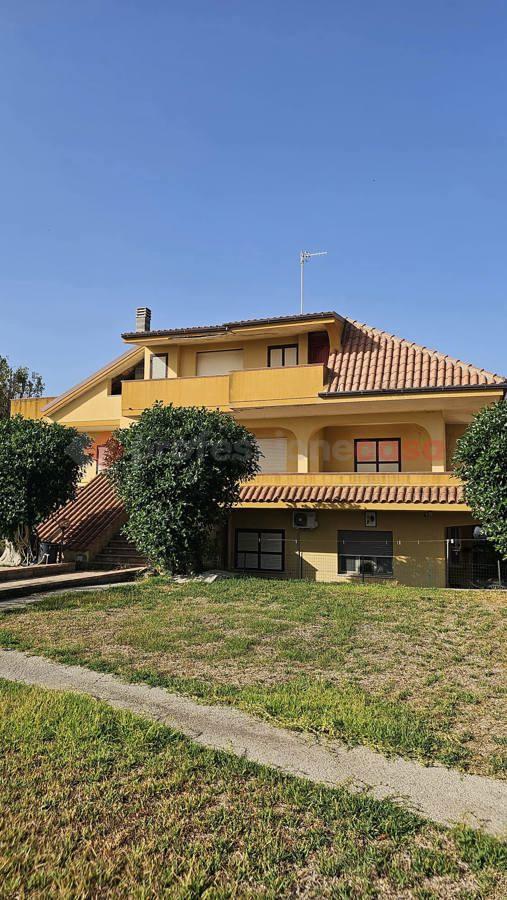 immagine annuncio 2 di 12