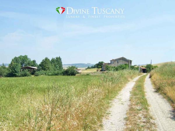 Gehöft in Strada Regionale Cassia, Castiglione d'Orcia - Foto 1