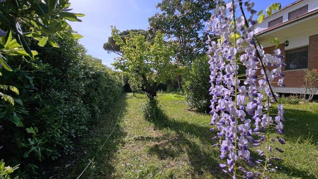 Villa in {3}, Via dei Convolvoli - Foto 1