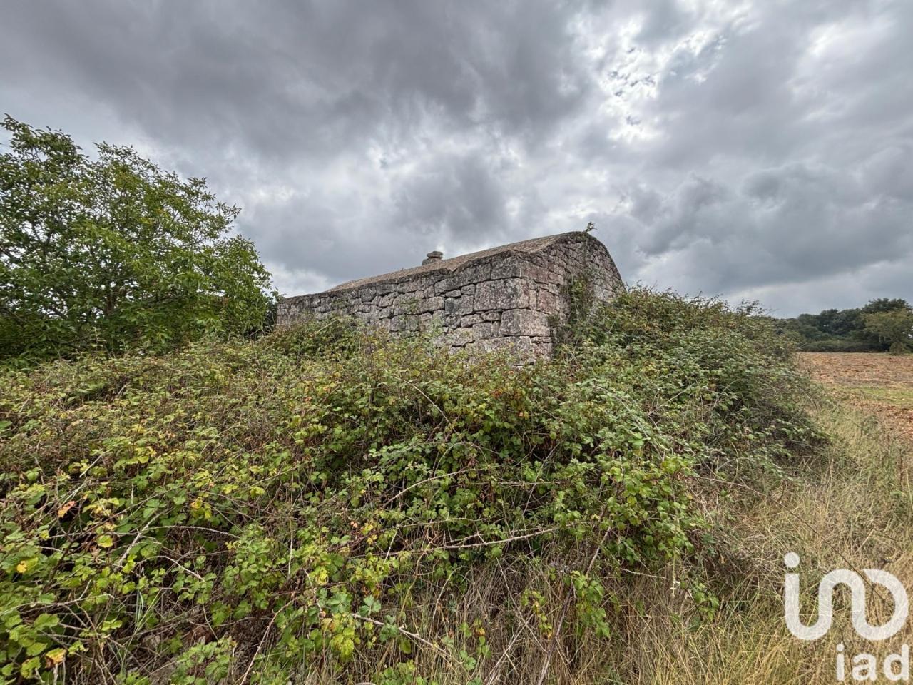 immagine annuncio 8 di 14