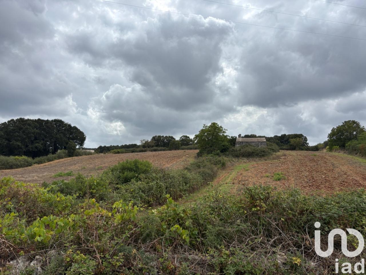 immagine annuncio 11 di 14