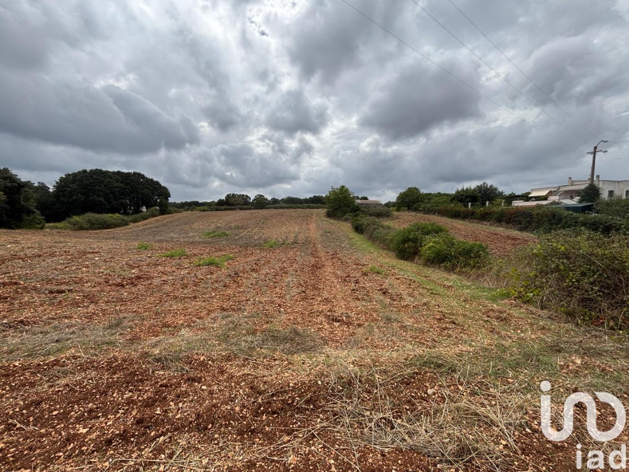 immagine annuncio 12 di 14