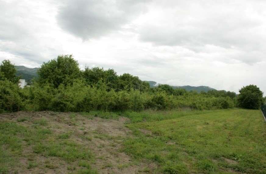 Terreno edificabile in vendita a Sansepolcro