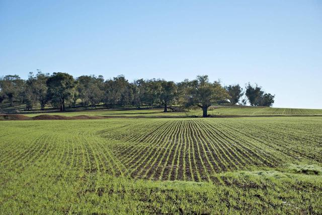 Terreno edificabile in {3}, - Foto 1