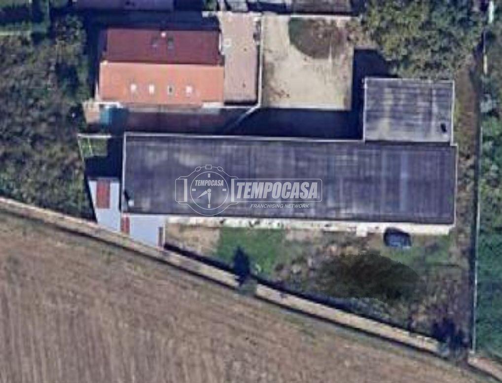 immagine annuncio 7 di 11