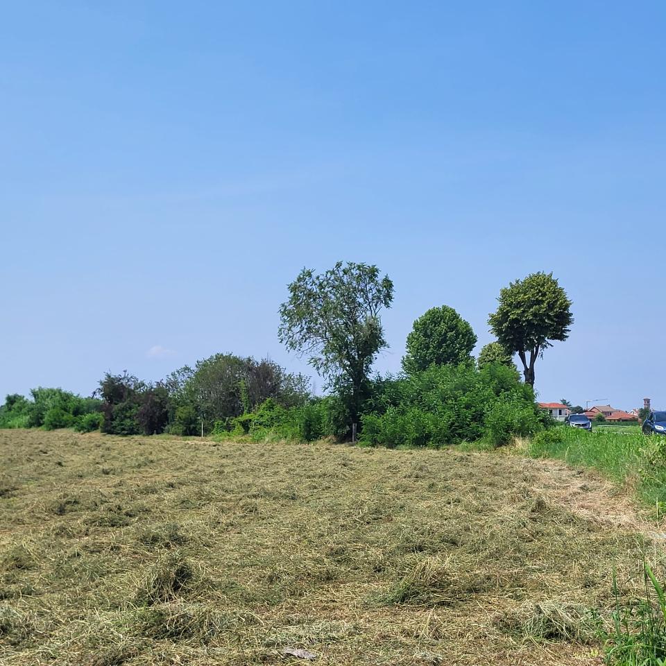 immagine annuncio 3 di 9