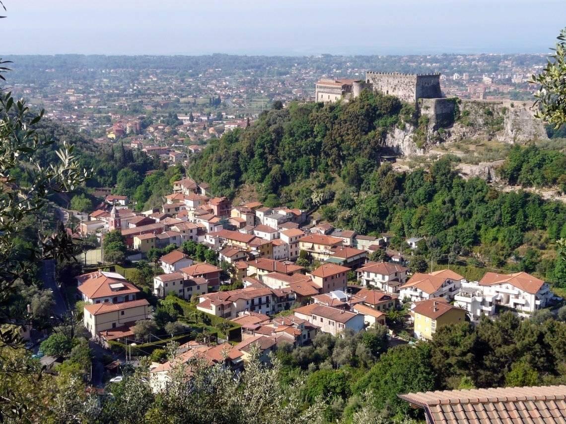 immagine annuncio 11 di 14