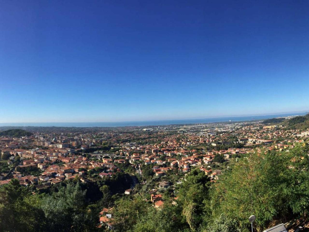 immagine annuncio 12 di 14