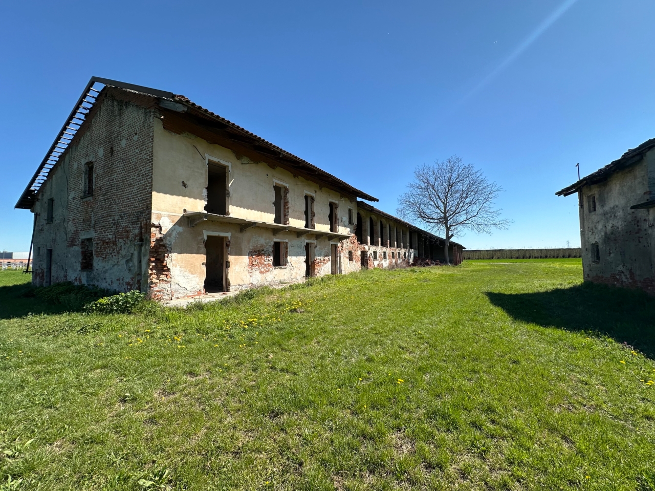 immagine annuncio 12 di 15