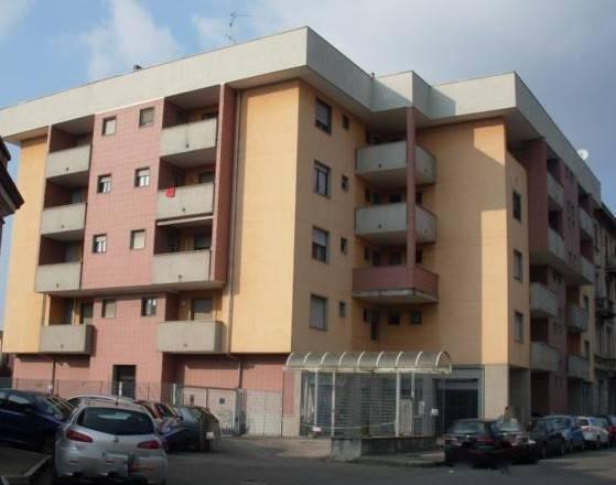 immagine annuncio 12 di 14
