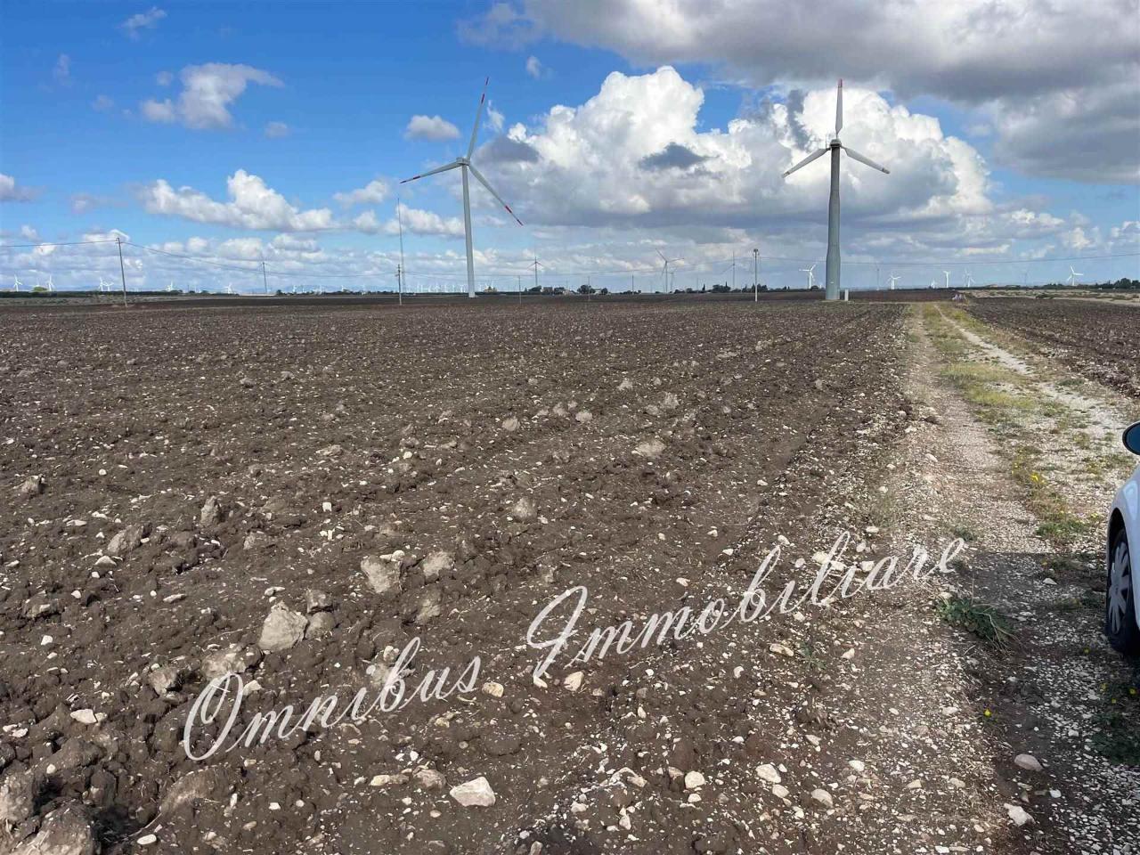 immagine annuncio 3 di 9