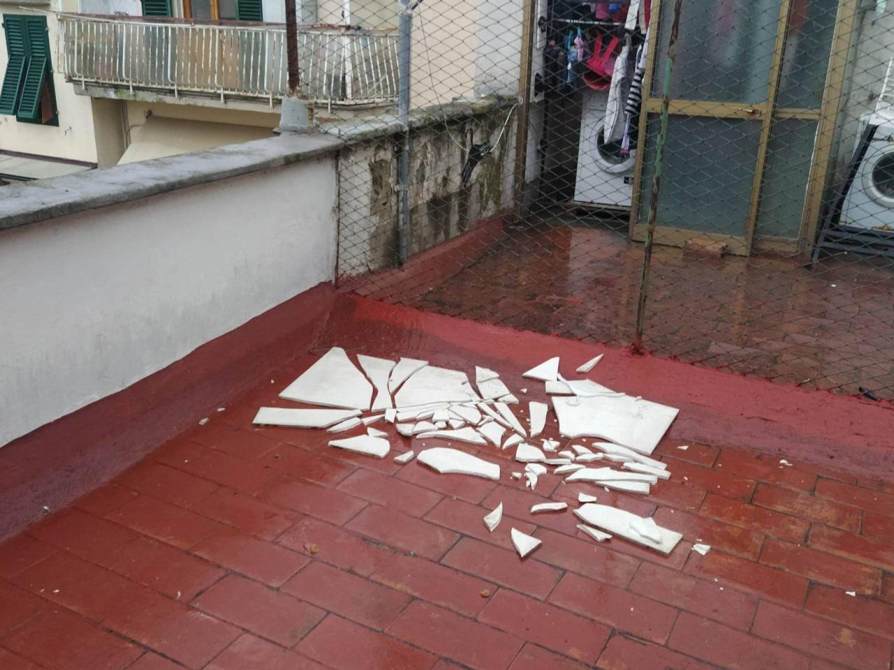 immagine annuncio 7 di 11