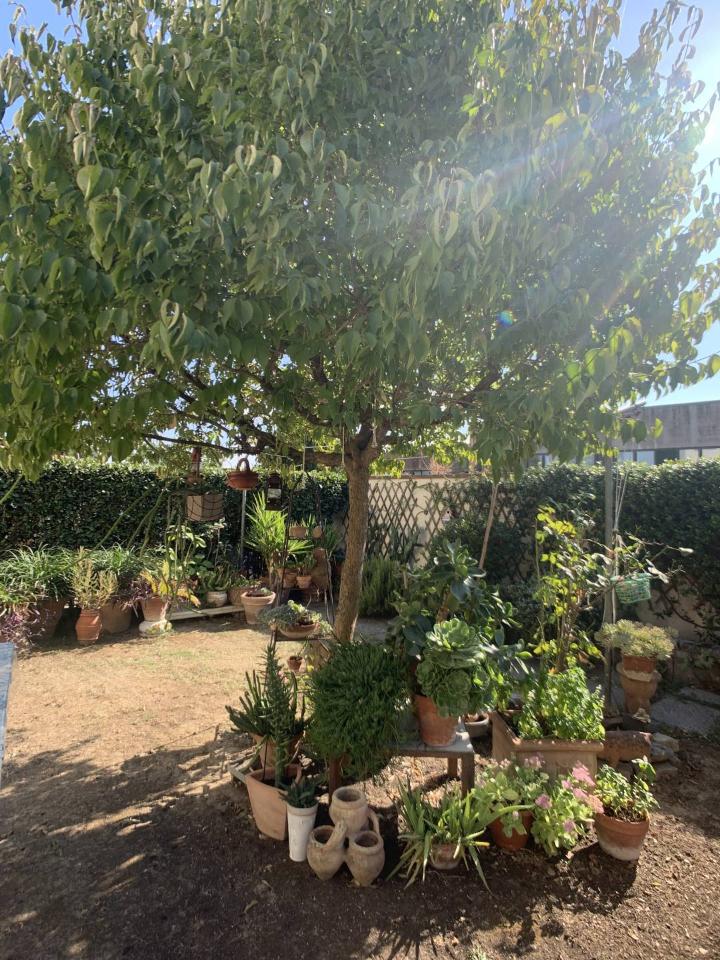 immagine annuncio 6 di 15