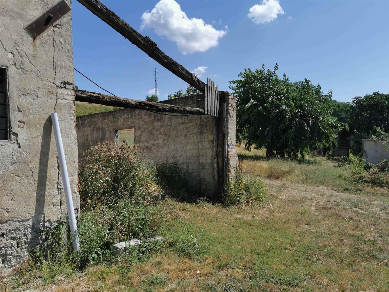 immagine annuncio 6 di 8