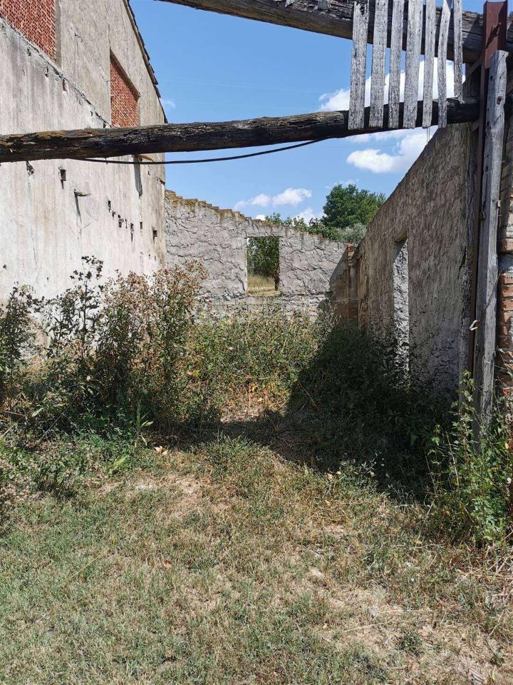 immagine annuncio 4 di 8