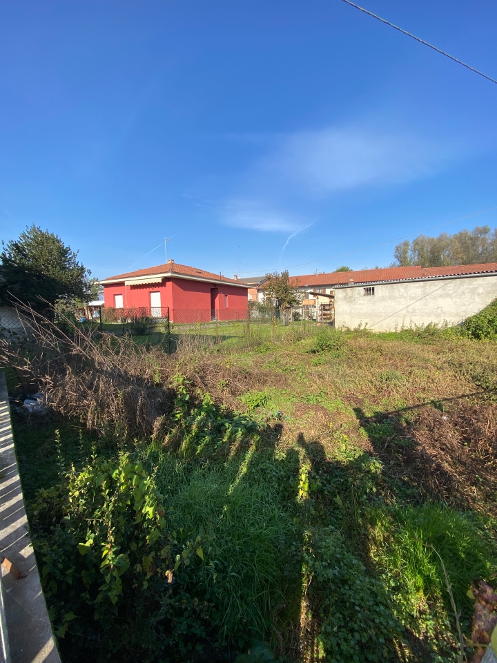 immagine annuncio 5 di 6