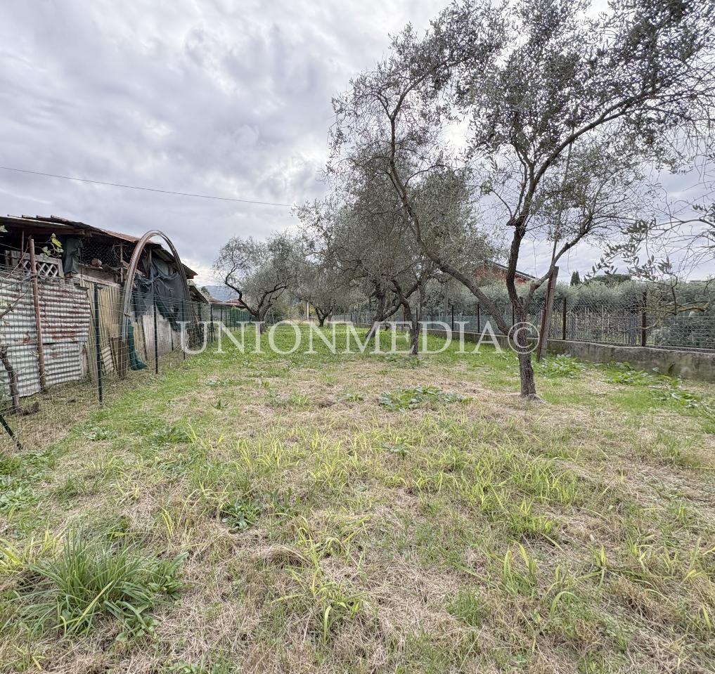 immagine annuncio 13 di 14