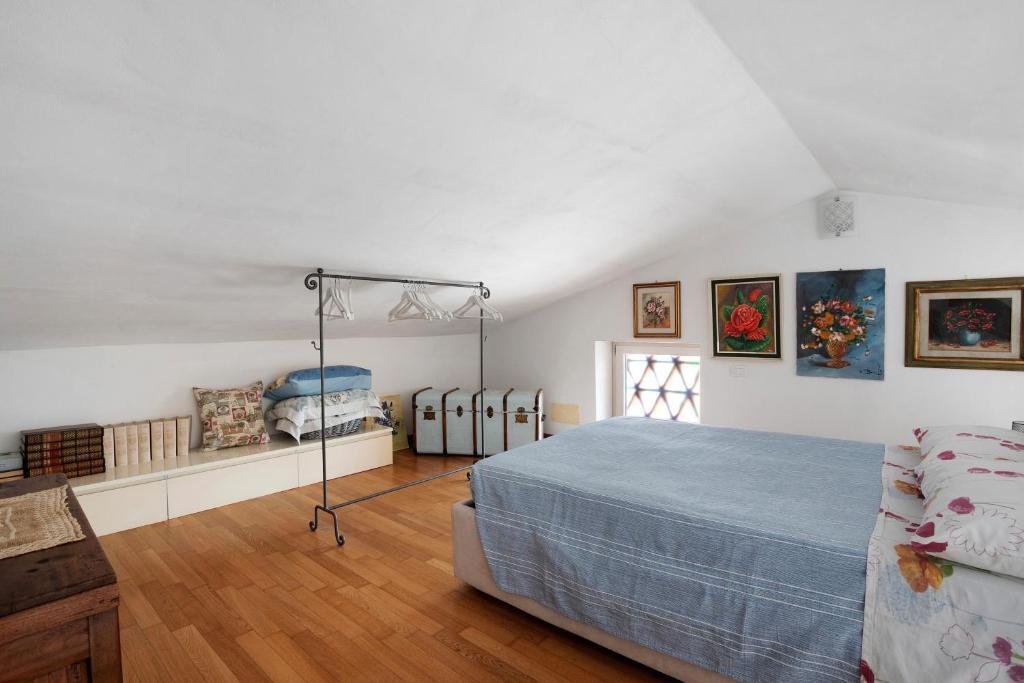 immagine annuncio 6 di 12