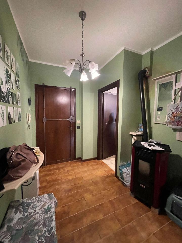 immagine annuncio 6 di 14