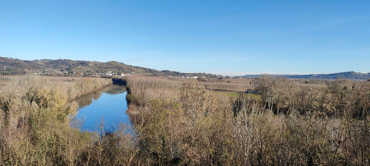 immagine annuncio 1 di 14