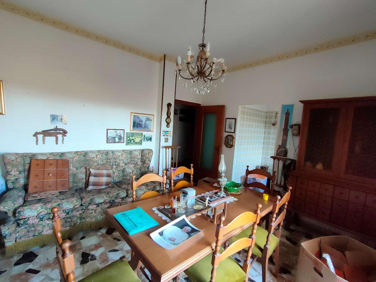 immagine annuncio 6 di 14