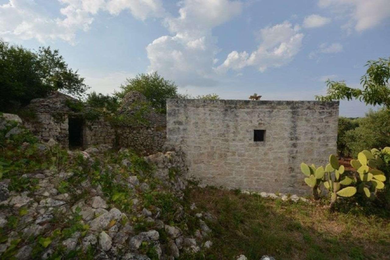 immagine annuncio 2 di 8