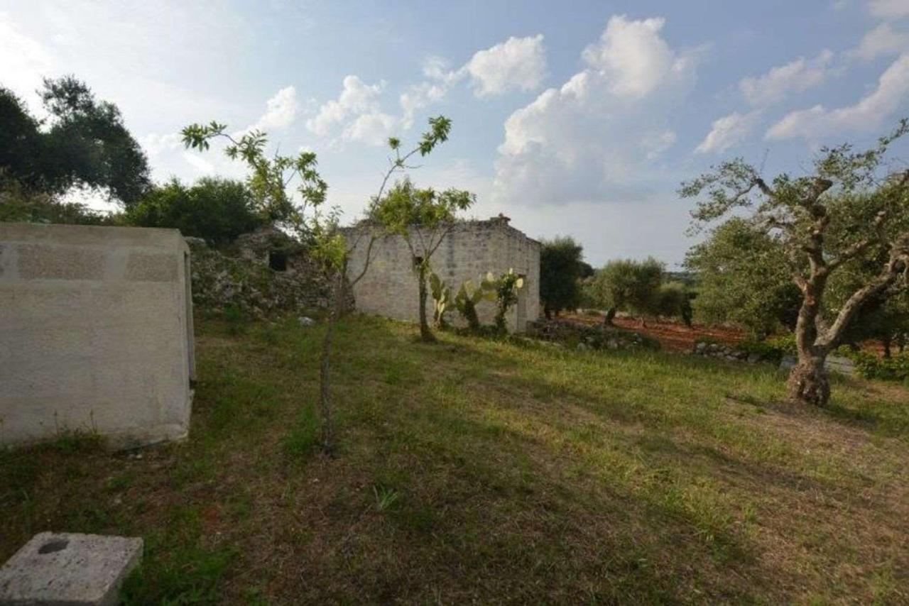 immagine annuncio 4 di 8