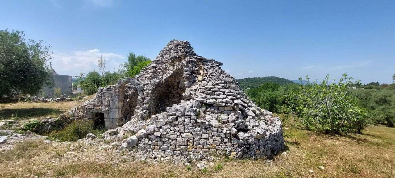 immagine annuncio 11 di 13