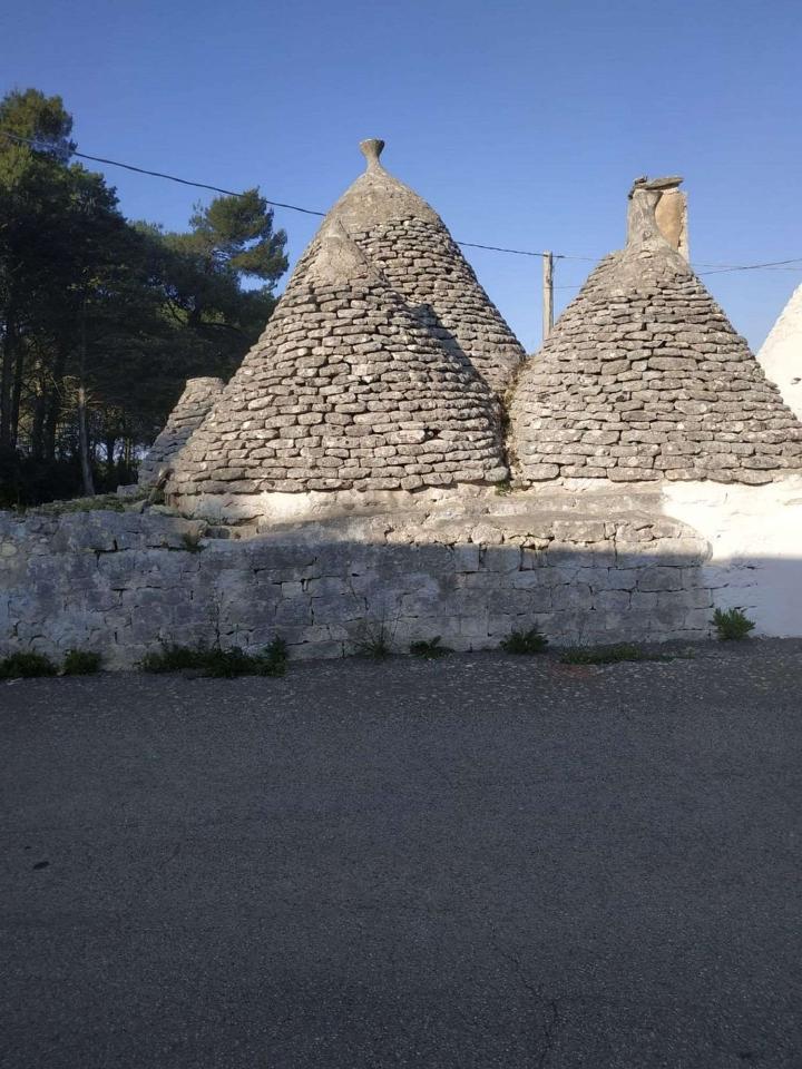 immagine annuncio 6 di 14