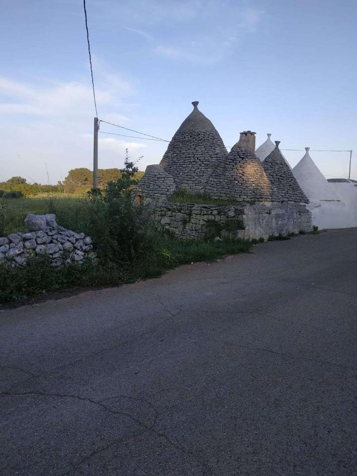 immagine annuncio 3 di 14
