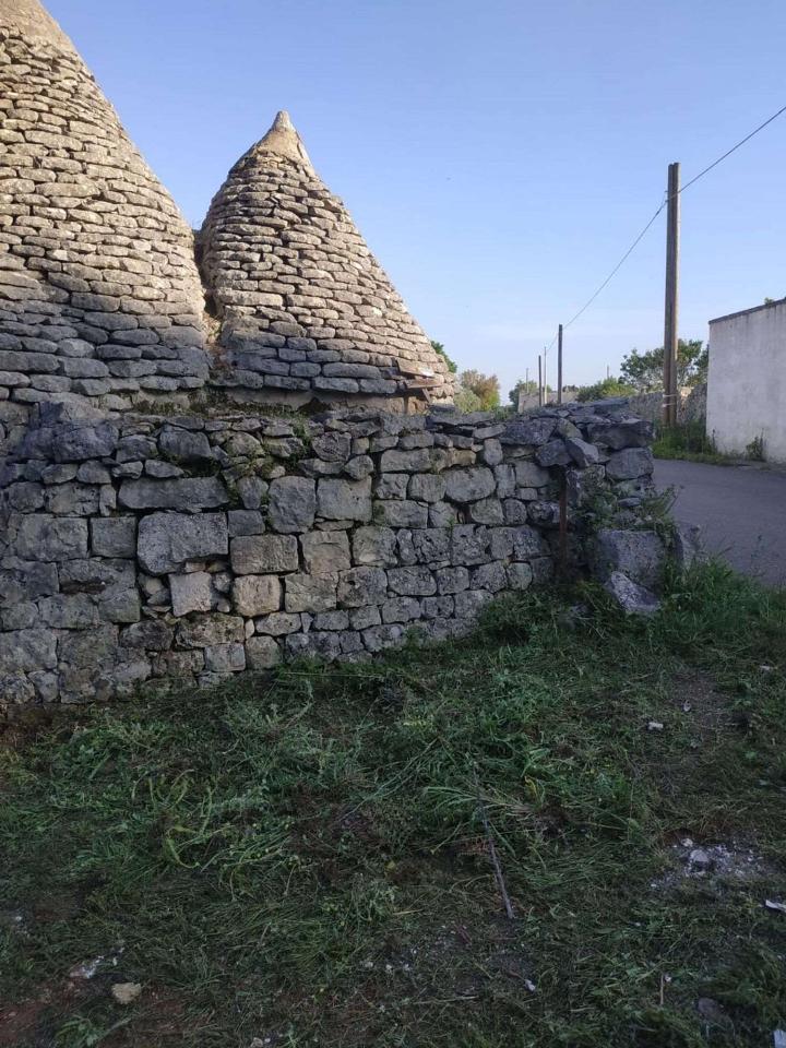 immagine annuncio 7 di 14