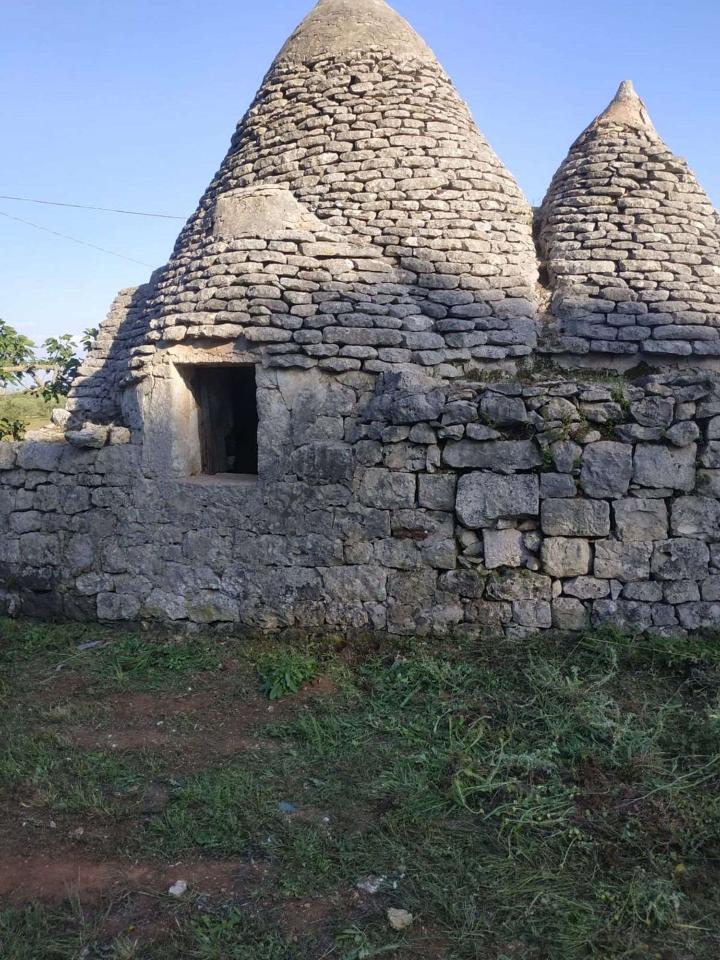 immagine annuncio 8 di 14