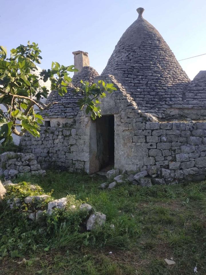 immagine annuncio 9 di 14