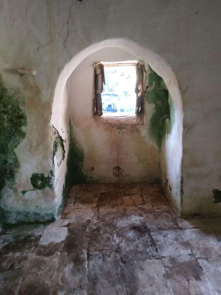 immagine annuncio 13 di 14