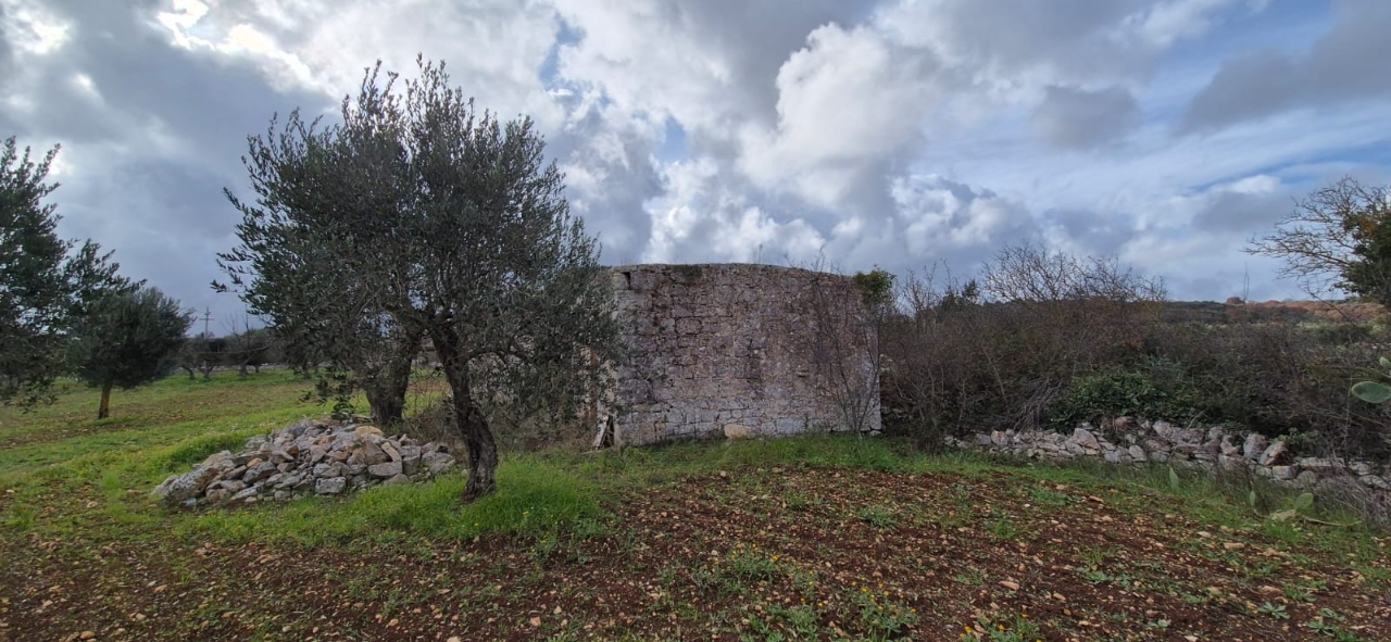 immagine annuncio 9 di 14